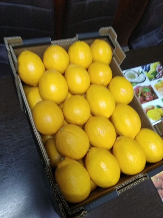 Meyer Lemon